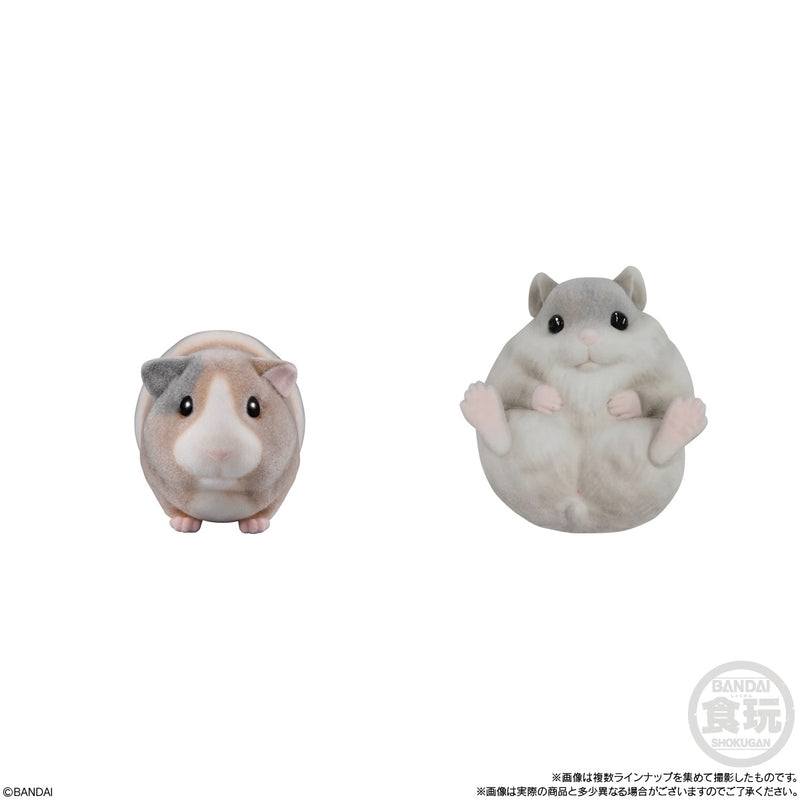BANDAI Candy Mofu Mofu Tenori Friends 2 – Small Animals