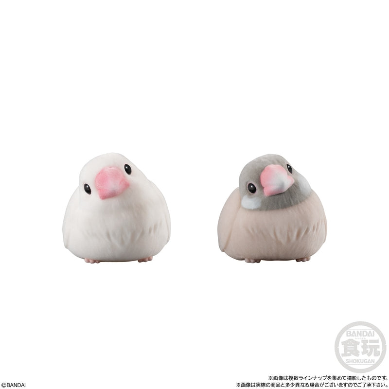 BANDAI Candy Mofu Mofu Tenori Friends (Animal Series)