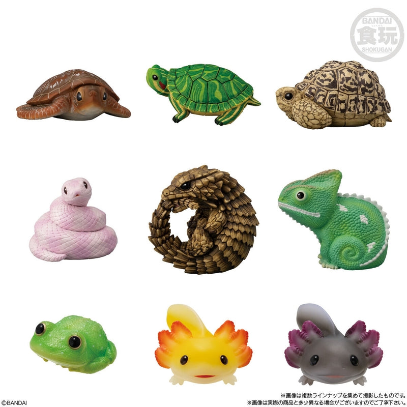 BANDAI Candy Tenori Friends 11 Reptiles/Amphibians-