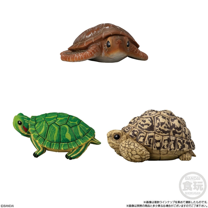 BANDAI Candy Tenori Friends 11 Reptiles/Amphibians-