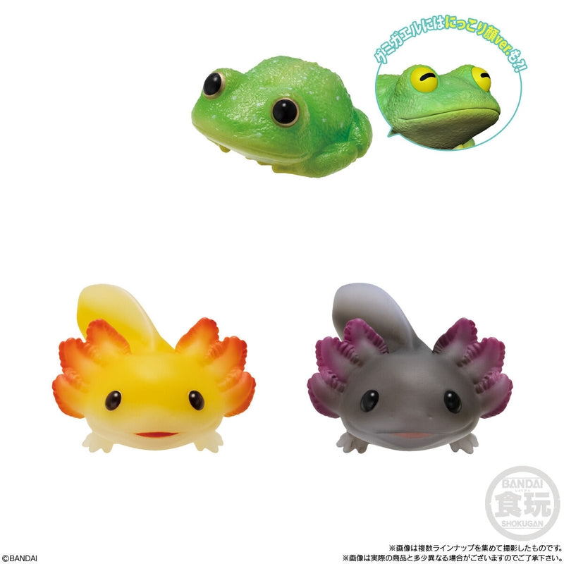 BANDAI Candy Tenori Friends 11 Reptiles/Amphibians-