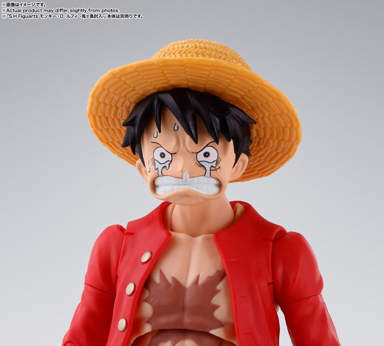 Bandai S.H.Figuarts Sabo -Revolutionary Army Chief of Staff- (Completed) (One Piece)