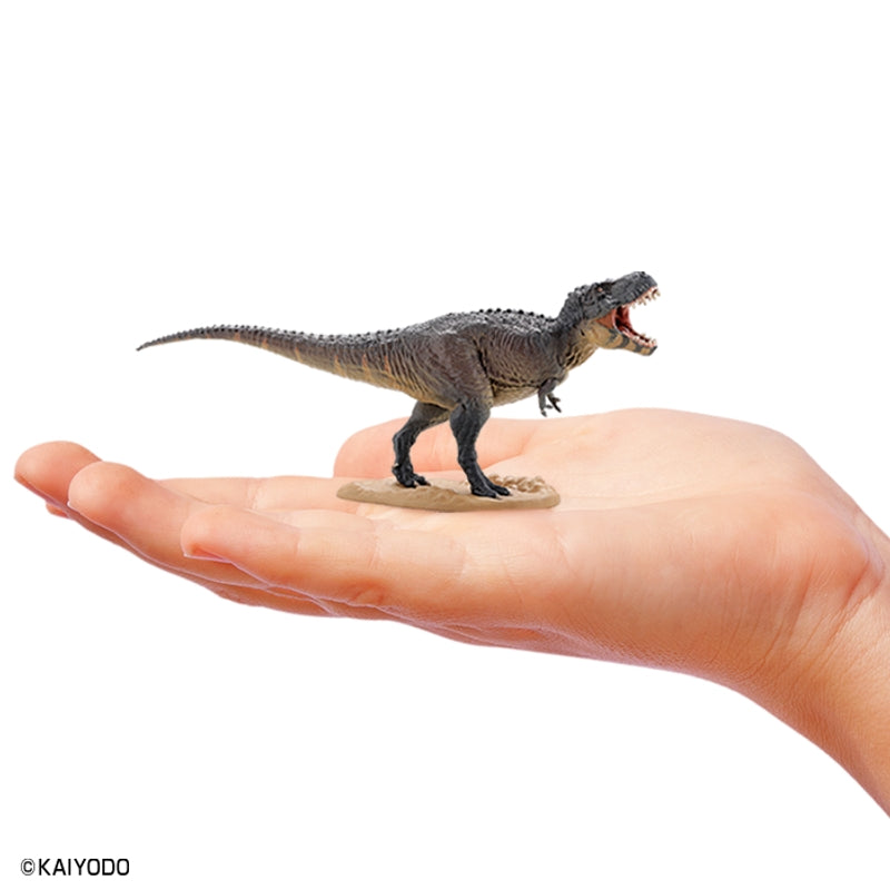 F-TOYS Dinosaur Master 5