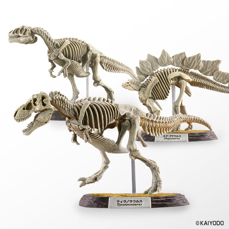 F-TOYS Dinosaur Master 5