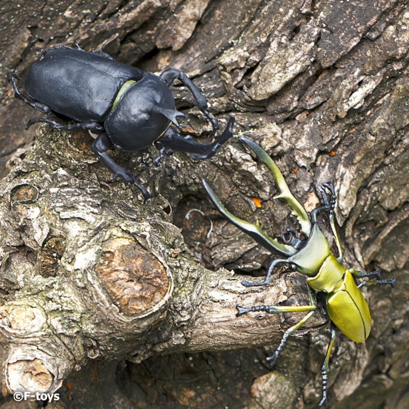 F-TOYS Insect Hunter 2024