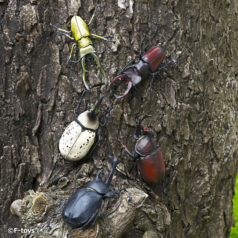 F-TOYS Insect Hunter 2024