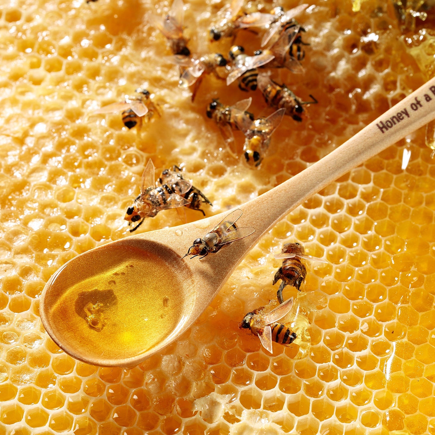 Fake Food / Honey Spoon of Life