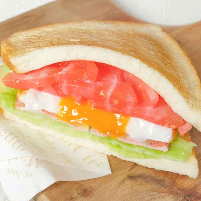 Fake Food / Toasted Sandwich