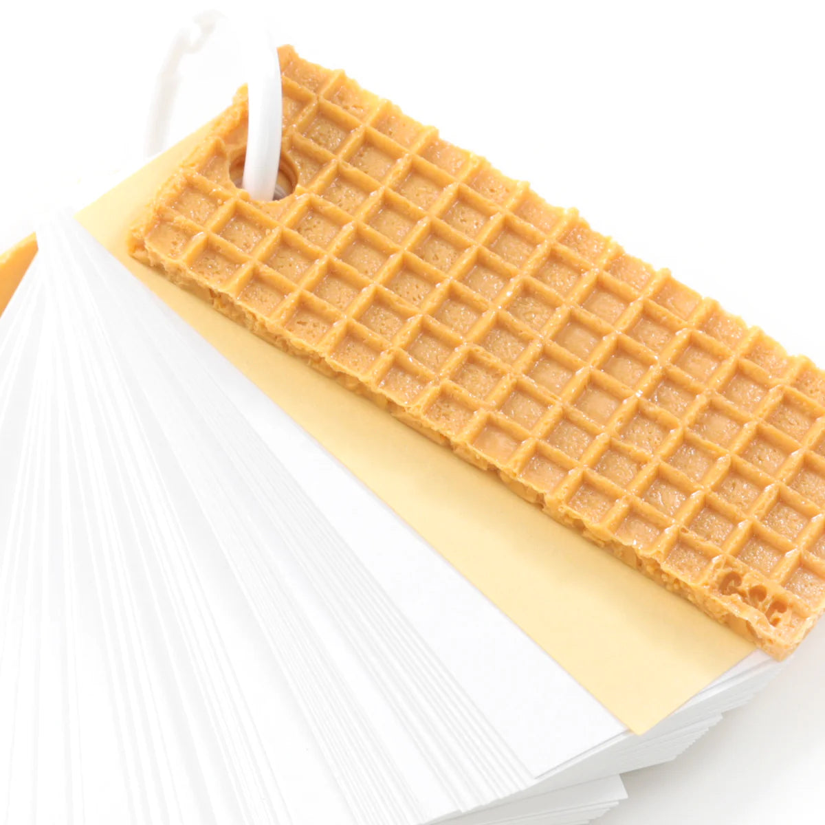 Fake Food / Wafer / Flashcards
