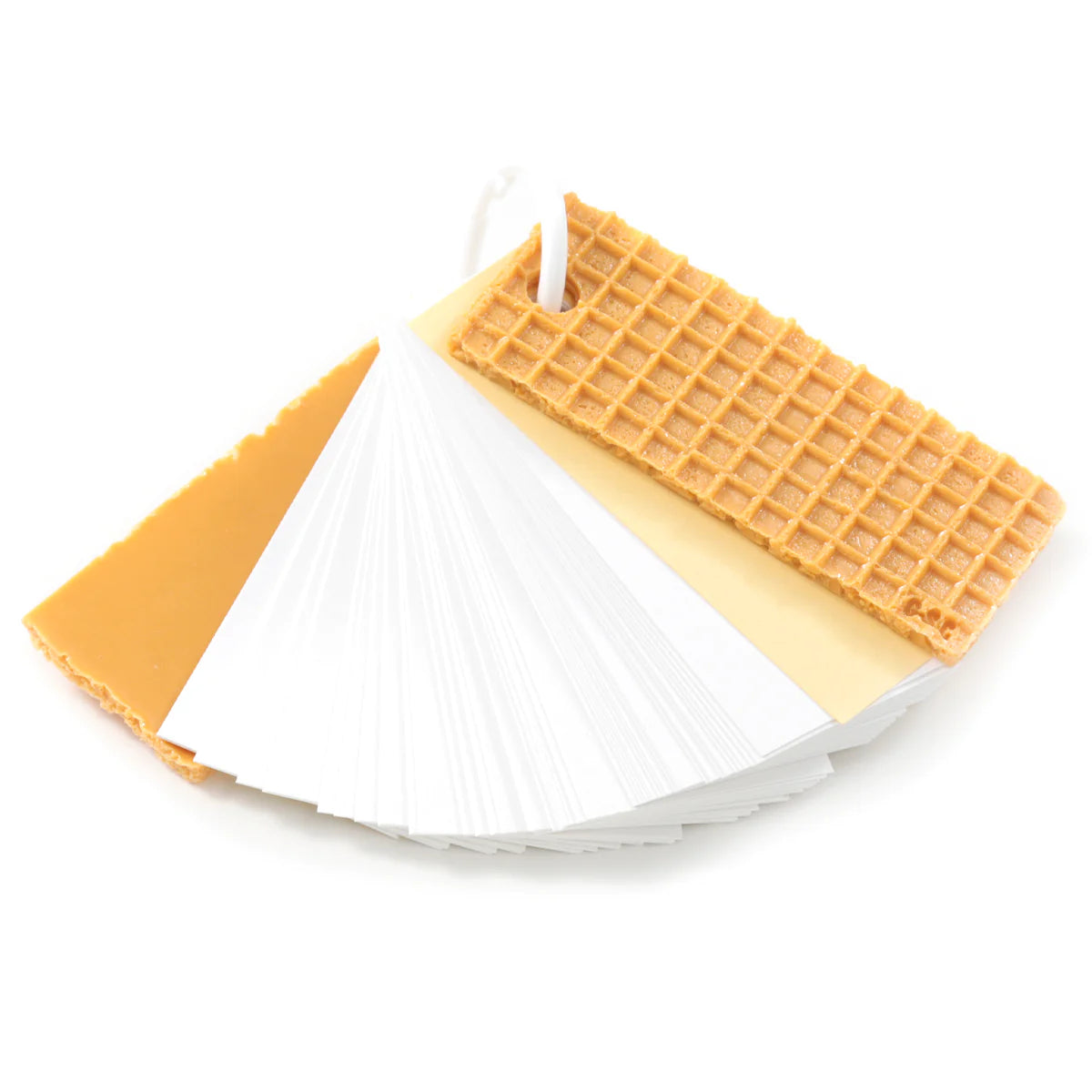 Fake Food / Wafer / Flashcards