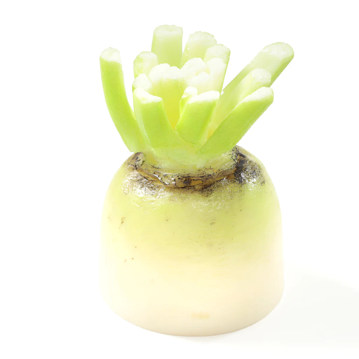 Fake Food / Japanese Radish / Pen Stand