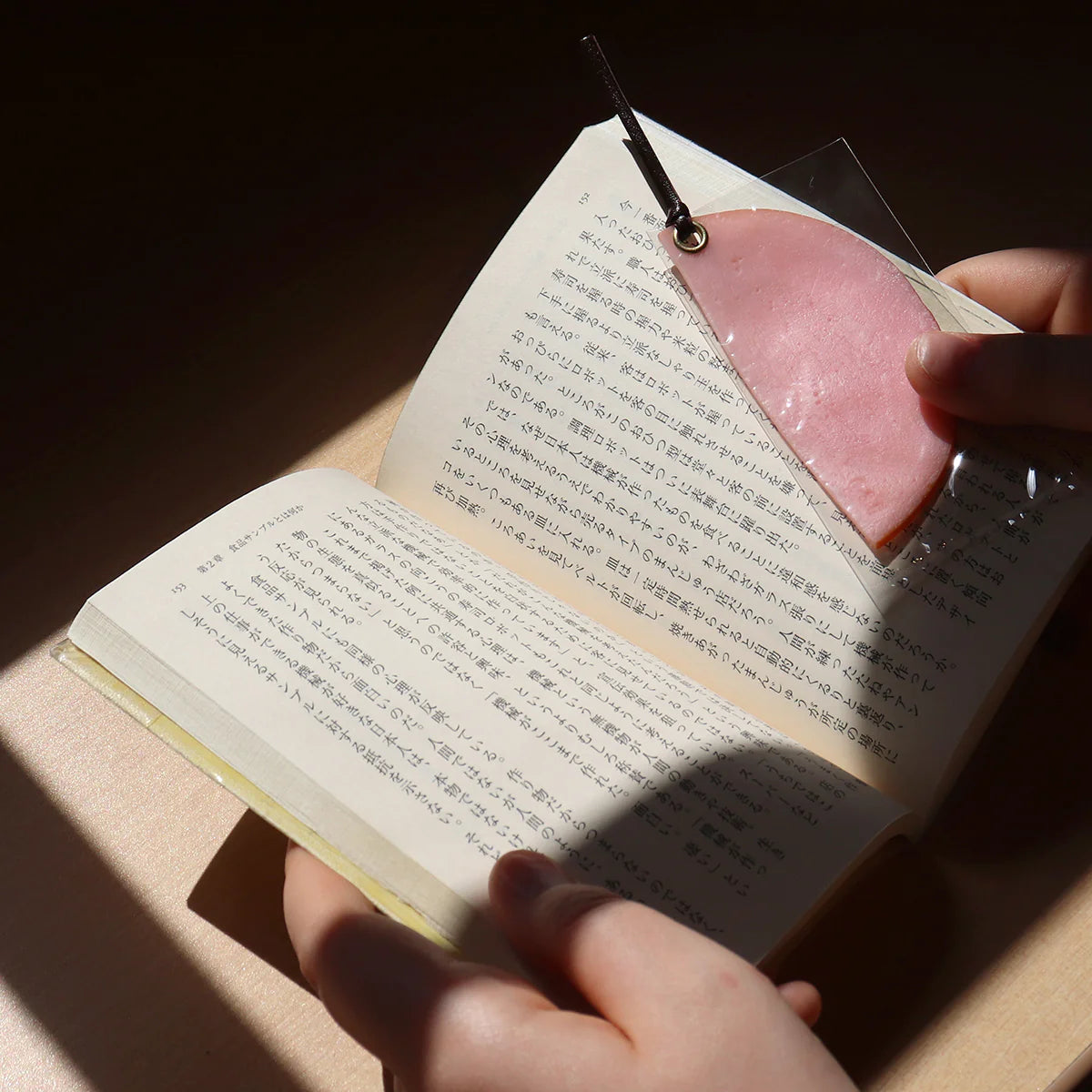 Fake Food / Loin Ham / Bookmark