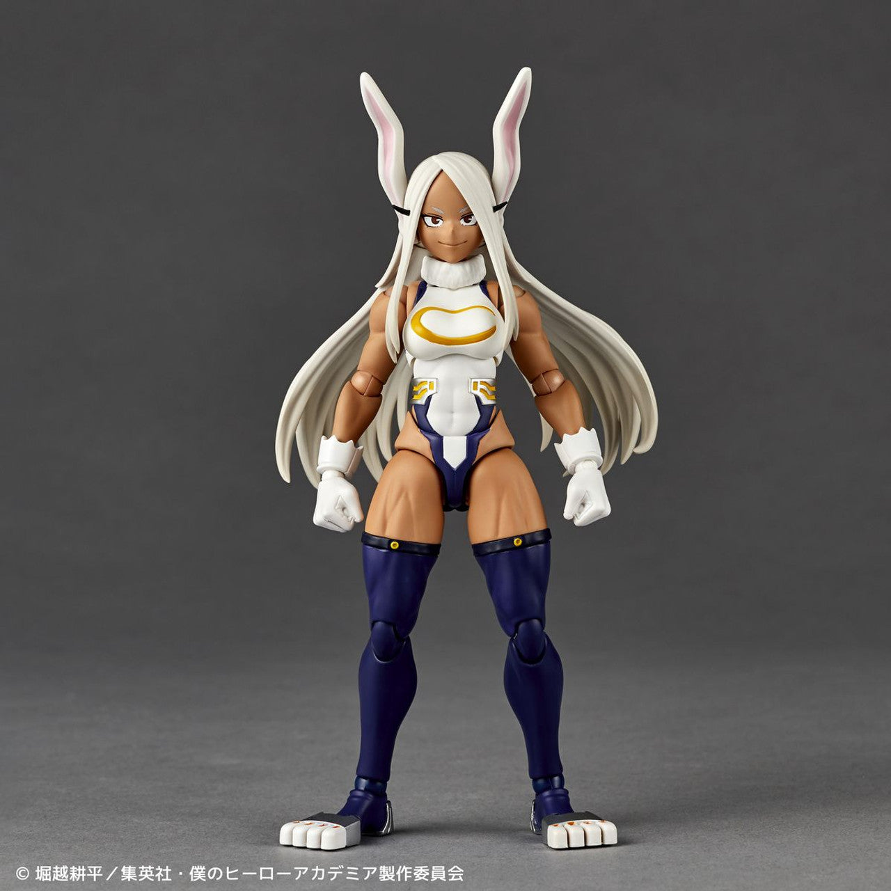 Kaiyodo Revoltech Mirko (Completed) (My Hero Academia)