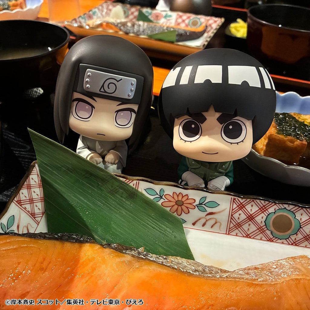 Lookup NARUTO SHIPPUDEN Rock Lee - MegaHouse