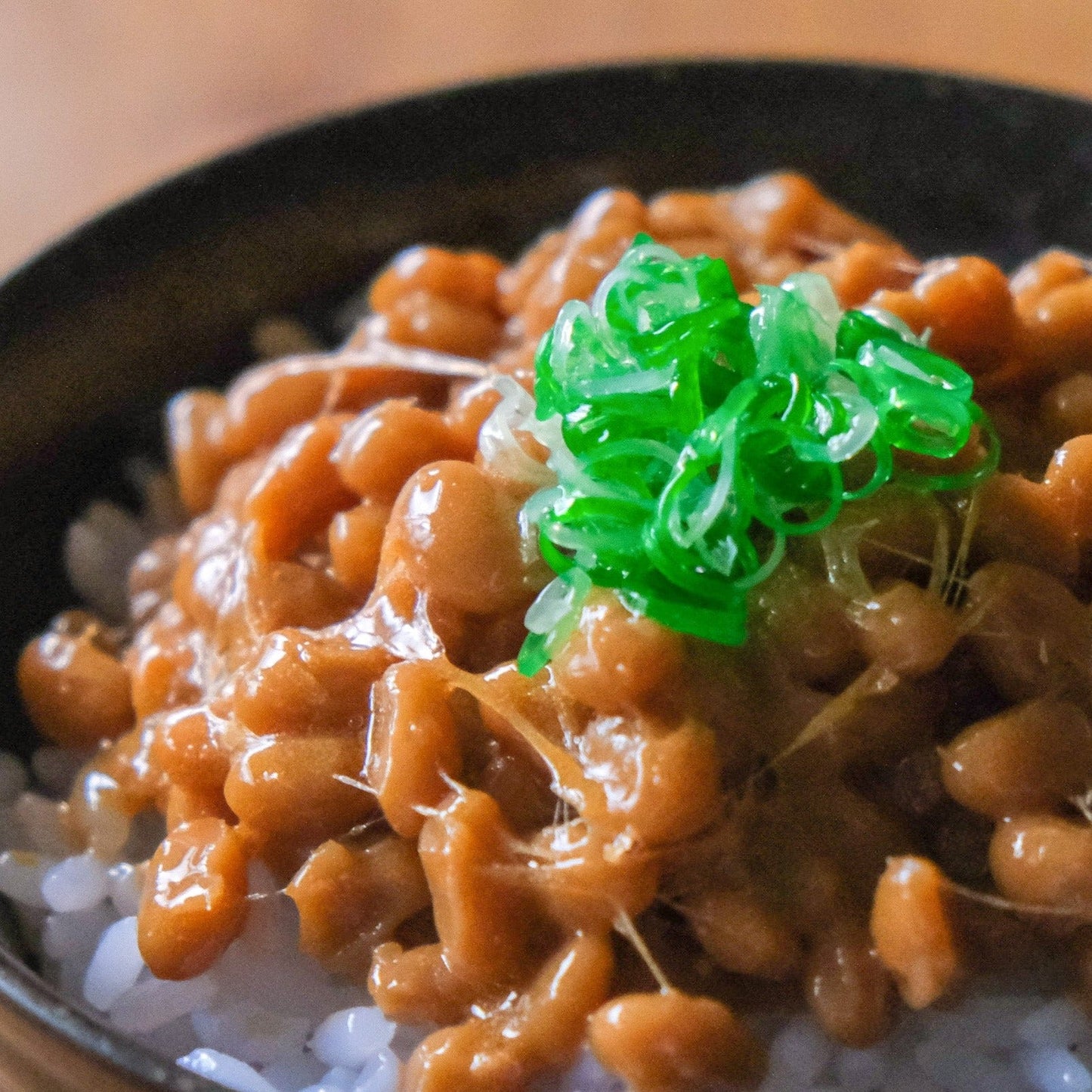 Fake Food / Natto Rice