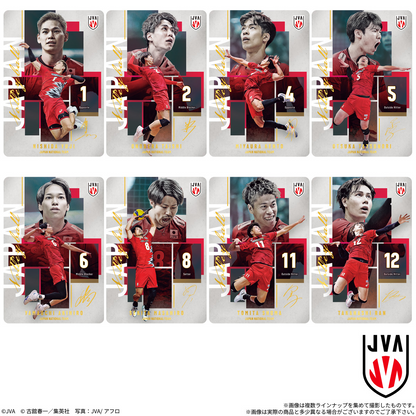 Japan National Volleyball Team Men's Japan National Team ver. Twin Wafer 2026 - BANDAI Candy