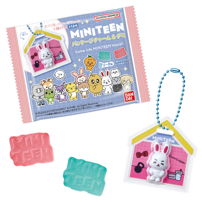 BANDAI Candy MINITEEN Package Charm & Gummies