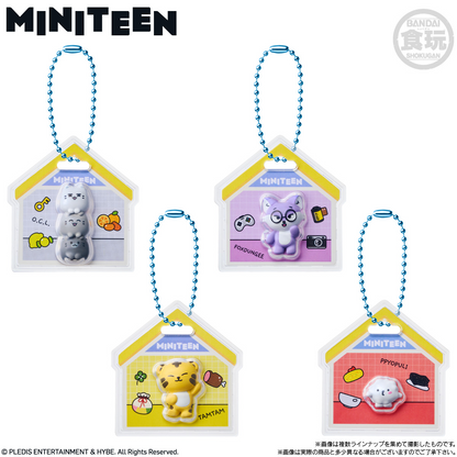 BANDAI Candy MINITEEN Package Charm & Gummies