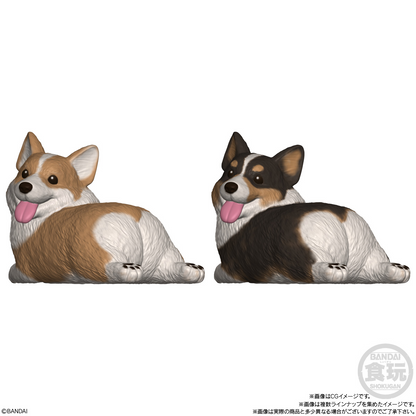BANDAI Candy Mocchiri Kororin♪ Puppies