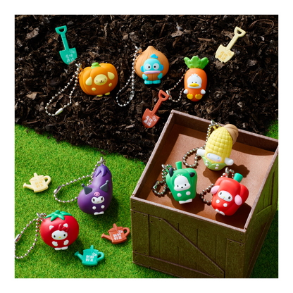 BANDAI Candy Sanrio Characters Vegetable Biscuit & Charm (Sanrio Characters)