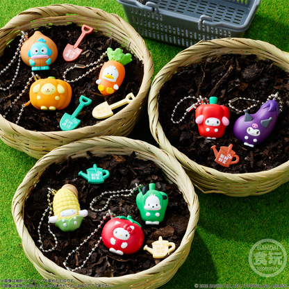 BANDAI Candy Sanrio Characters Vegetable Biscuit & Charm (Sanrio Characters)