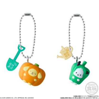 BANDAI Candy Sanrio Characters Vegetable Biscuit & Charm (Sanrio Characters)