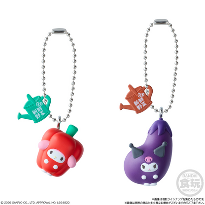 BANDAI Candy Sanrio Characters Vegetable Biscuit & Charm (Sanrio Characters)