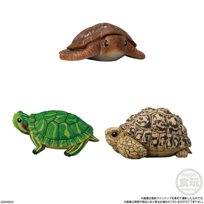 BANDAI Candy Tenori Friends 11 Reptiles/Amphibians-