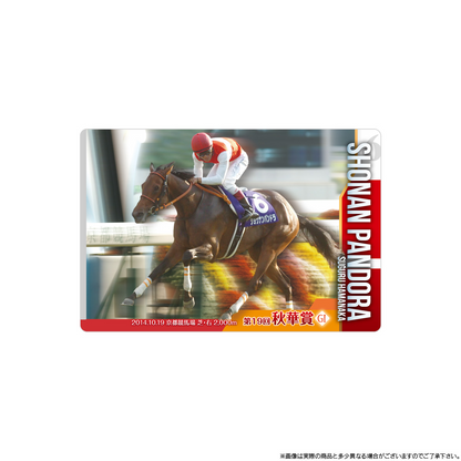BANDAI Candy Thoroughbred Horse Collection Twin Wafer 5R