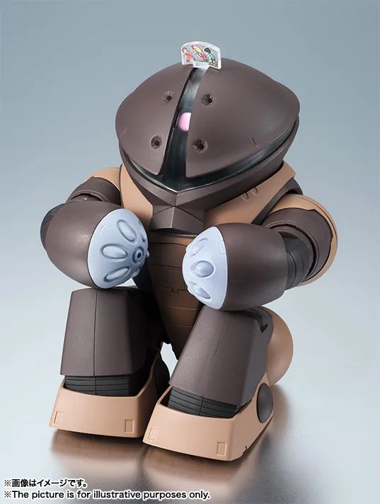Bandai Robot Spirits < Side MS > MSM-04 Acguy Ver. A.N.I.M.E. (Completed) (Mobile Suit Gundam)