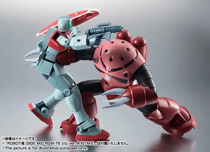 Bandai Robot Spirits < Side MS > MSM-07S Char Aznable's Z'Gok Ver. A.N.I.M.E. (Completed) (Mobile Suit Gundam)