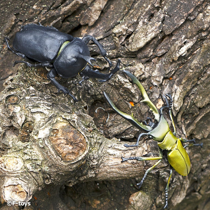 F-TOYS Insect Hunter 2024