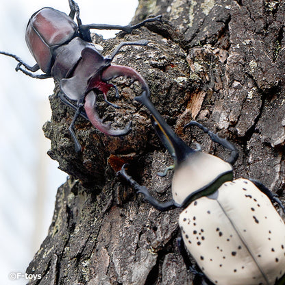 F-TOYS Insect Hunter 2024