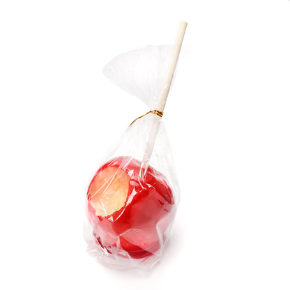 Fake Food / Candy Apple / Pen Stand
