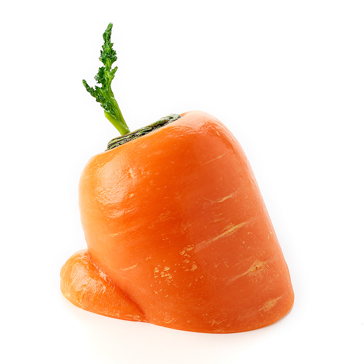 Fake Food / Carrot That Wants To Rise / Pen Stand