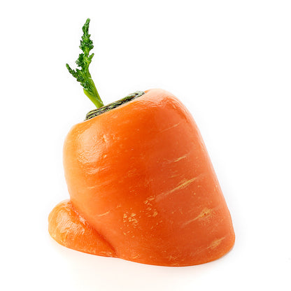 Fake Food / Carrot That Wants To Rise / Pen Stand