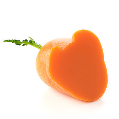Fake Food / Carrot That Wants To Rise / Pen Stand