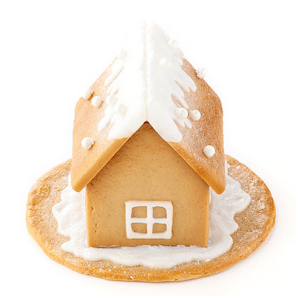 Fake Food / Gingerbread House / Accessory Case
