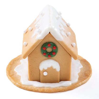Fake Food / Gingerbread House / Accessory Case