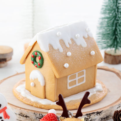 Fake Food / Gingerbread House / Accessory Case