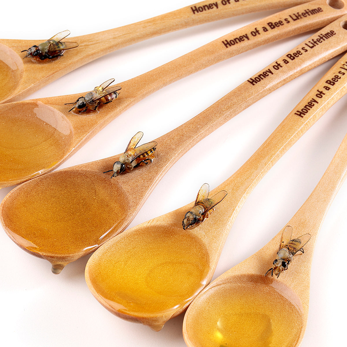 Fake Food / Honey Spoon of Life