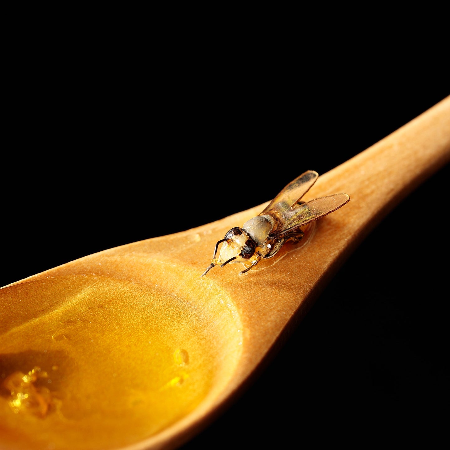 Fake Food / Honey Spoon of Life