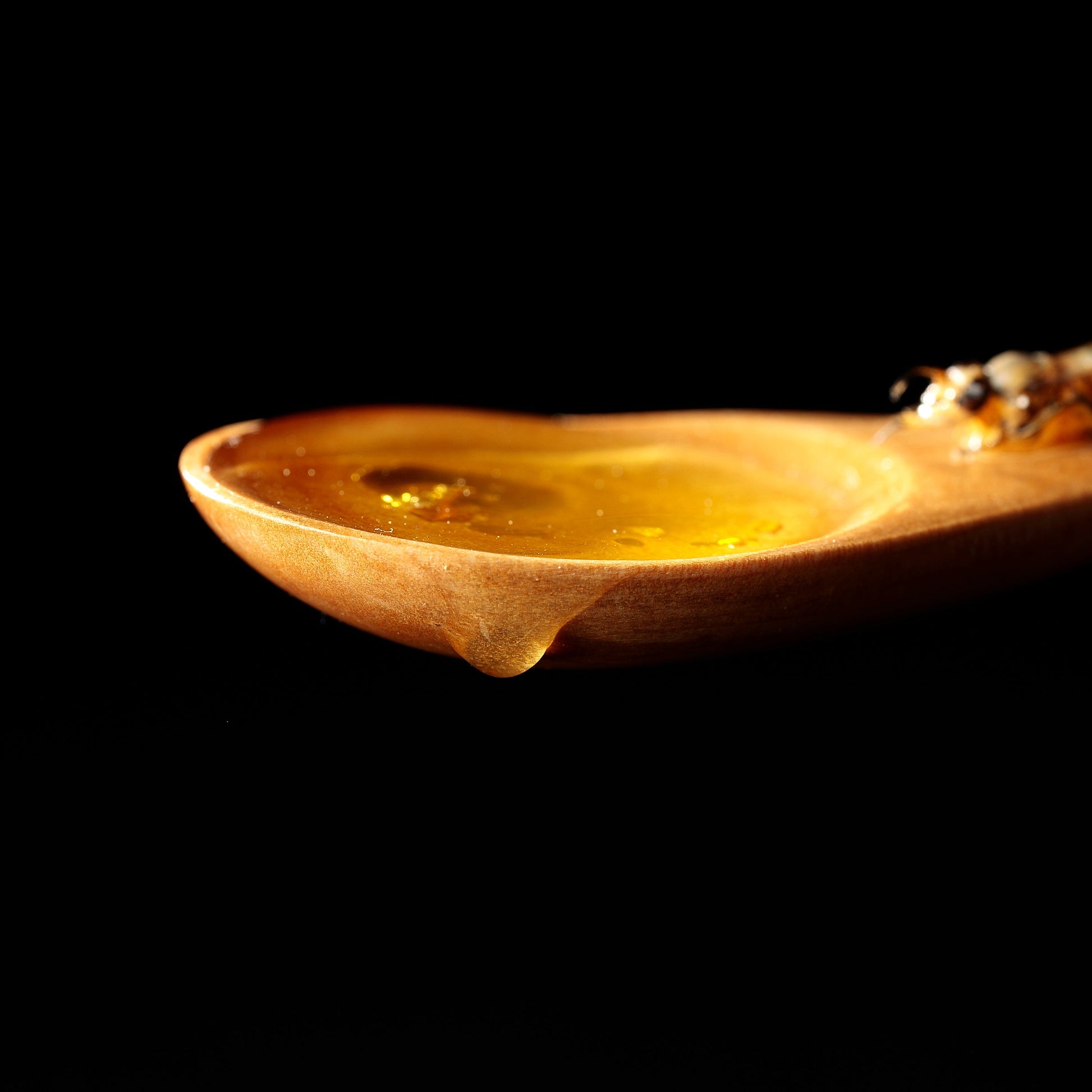 Fake Food / Honey Spoon of Life