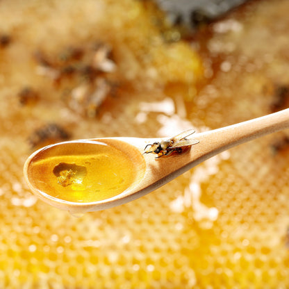 Fake Food / Honey Spoon of Life