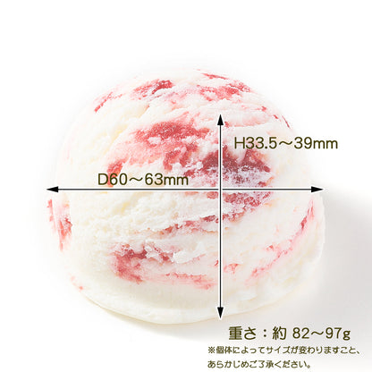 Fake Food / Ice Cream No.14