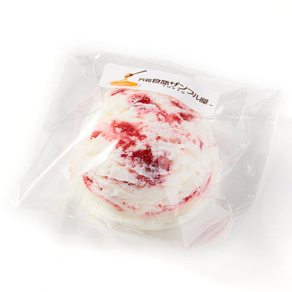 Fake Food / Ice Cream No.16
