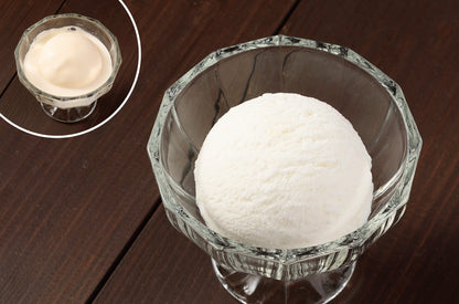 Fake Food / Ice Cream No.16