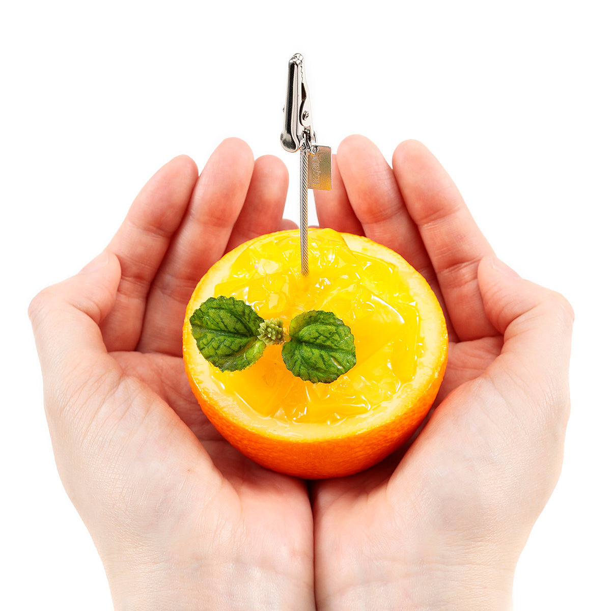 Fake Food / Orange Jelly / Clip