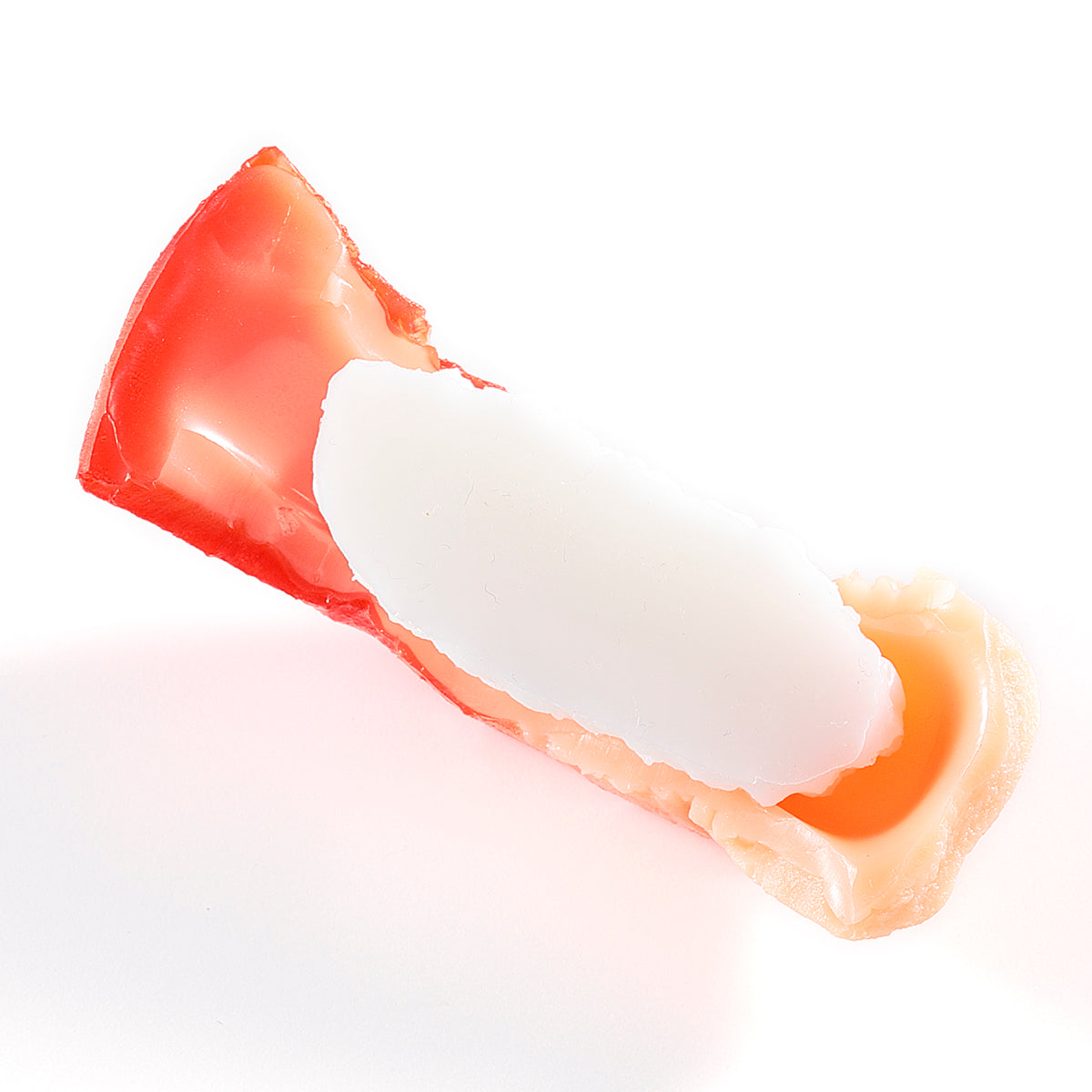 Fake Food / Sushi