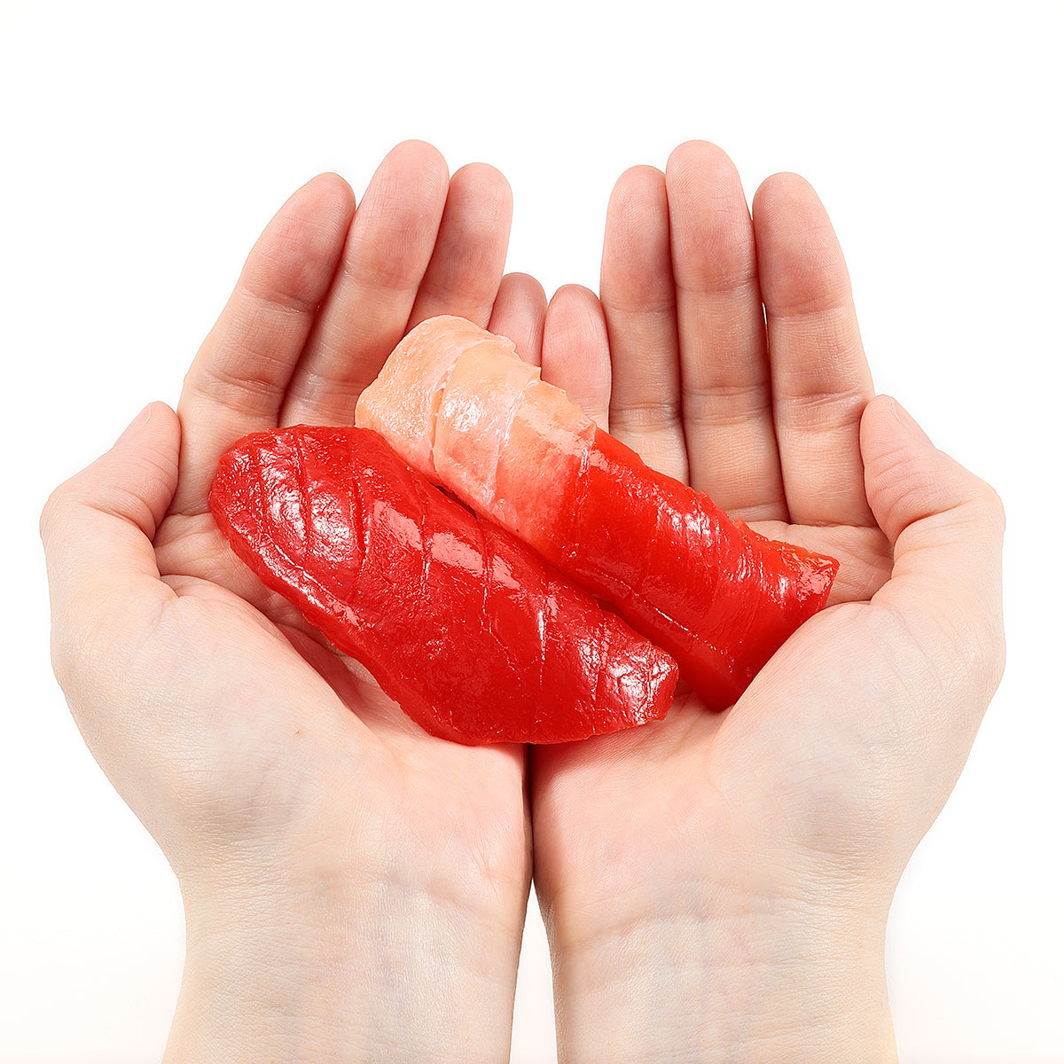 Fake Food / Sushi